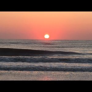 Meet your Posher, Suzanne